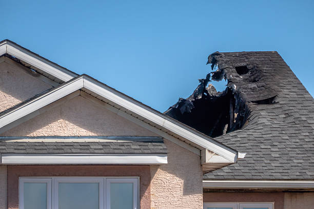 Licensed Content Restoration service in Osprey, FL - Fire Damage Biloxi